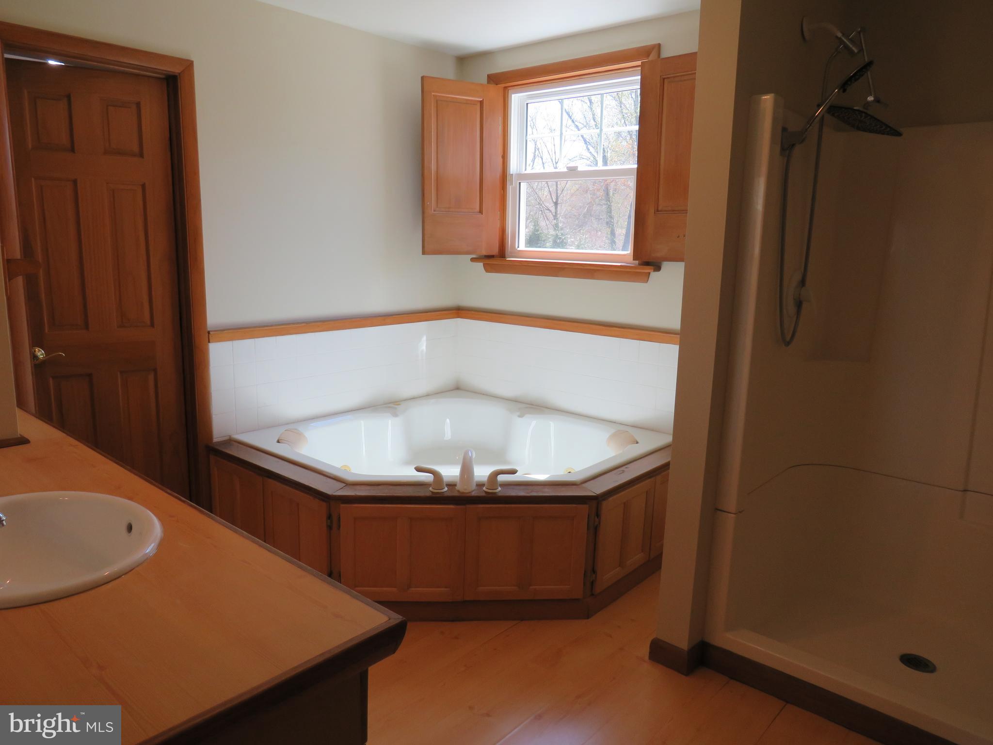 10 Spring Hill Road Perkasie, PA 18944 - Photo 52 of 74 Primary Bathroom