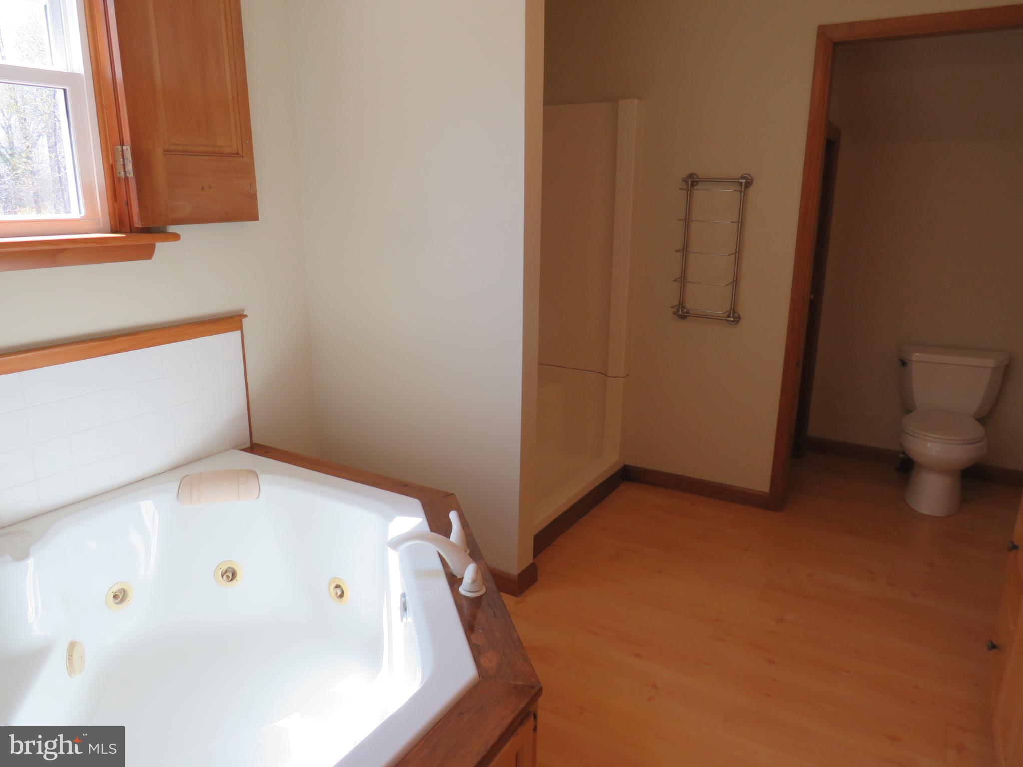 10 Spring Hill Road Perkasie, PA 18944 - Photo 53 of 74 Primary Bathroom