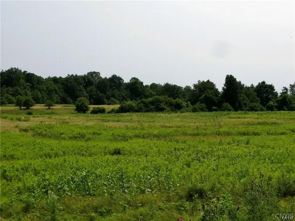 $192,500 | 3939 Carleton Island Road 2, Cape Vincent, NY 13618