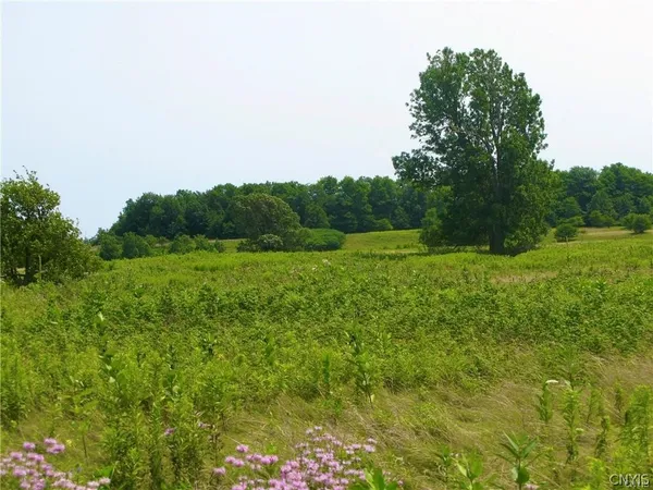 $192,500 | 3939 Carleton Island Road 2, Cape Vincent, NY 13618