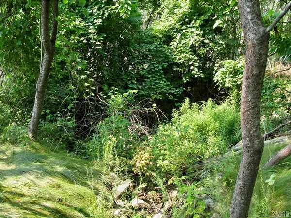 $192,500 | 3939 Carleton Island Road 2, Cape Vincent, NY 13618