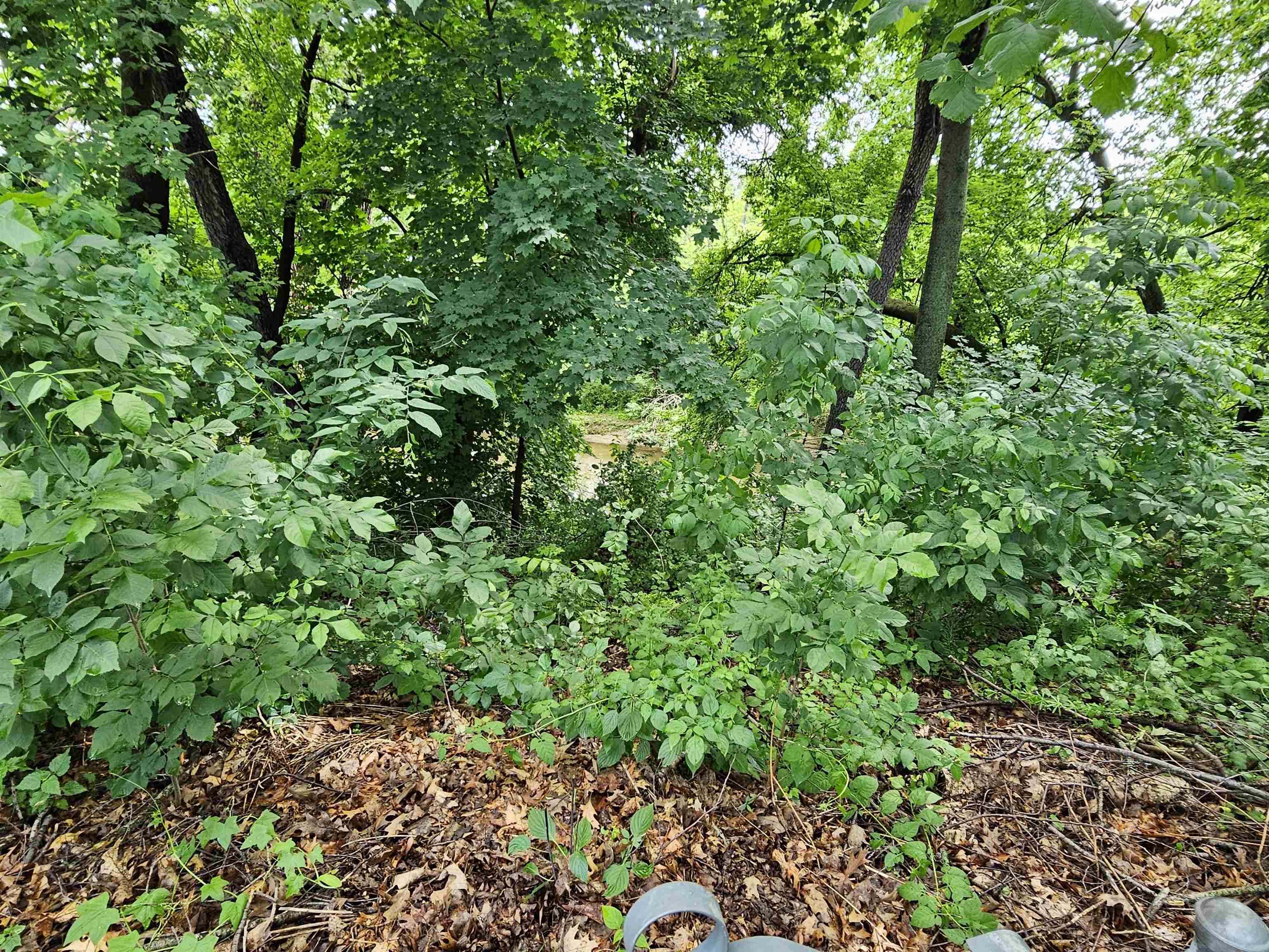 500 Riverside Drive Waterloo, WI 53594 - Photo 7 of 33