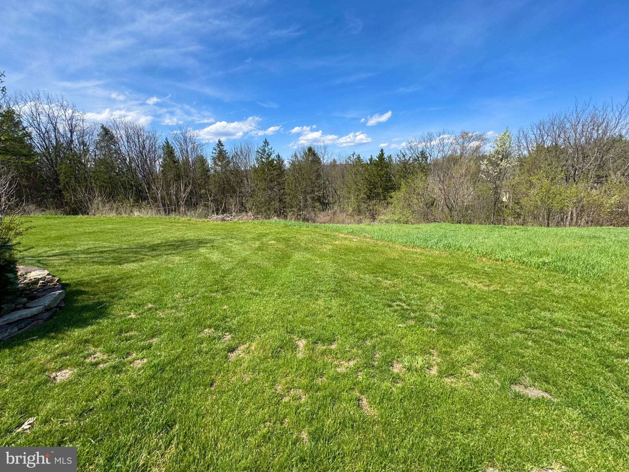 Expansive green oasis under blue skies.
