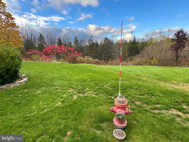 a view of an outdoor space and a yard