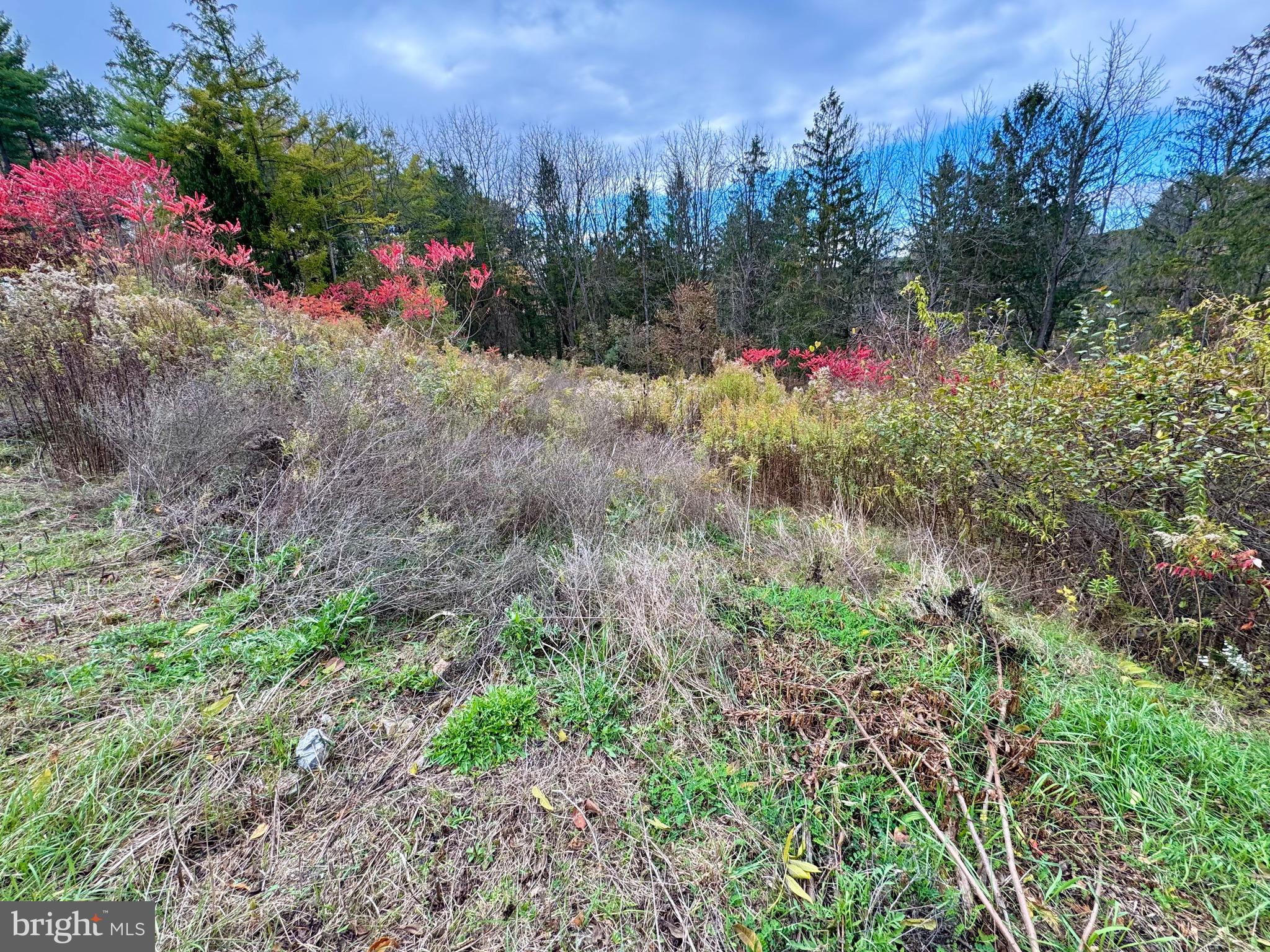 Lot - Hancock Road Bellefonte, PA 16823 - Photo 4 of 11