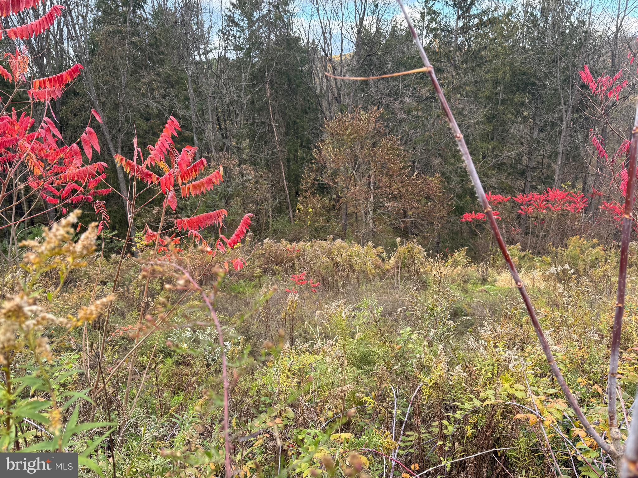 Lot - Hancock Road Bellefonte, PA 16823 - Photo 5 of 11