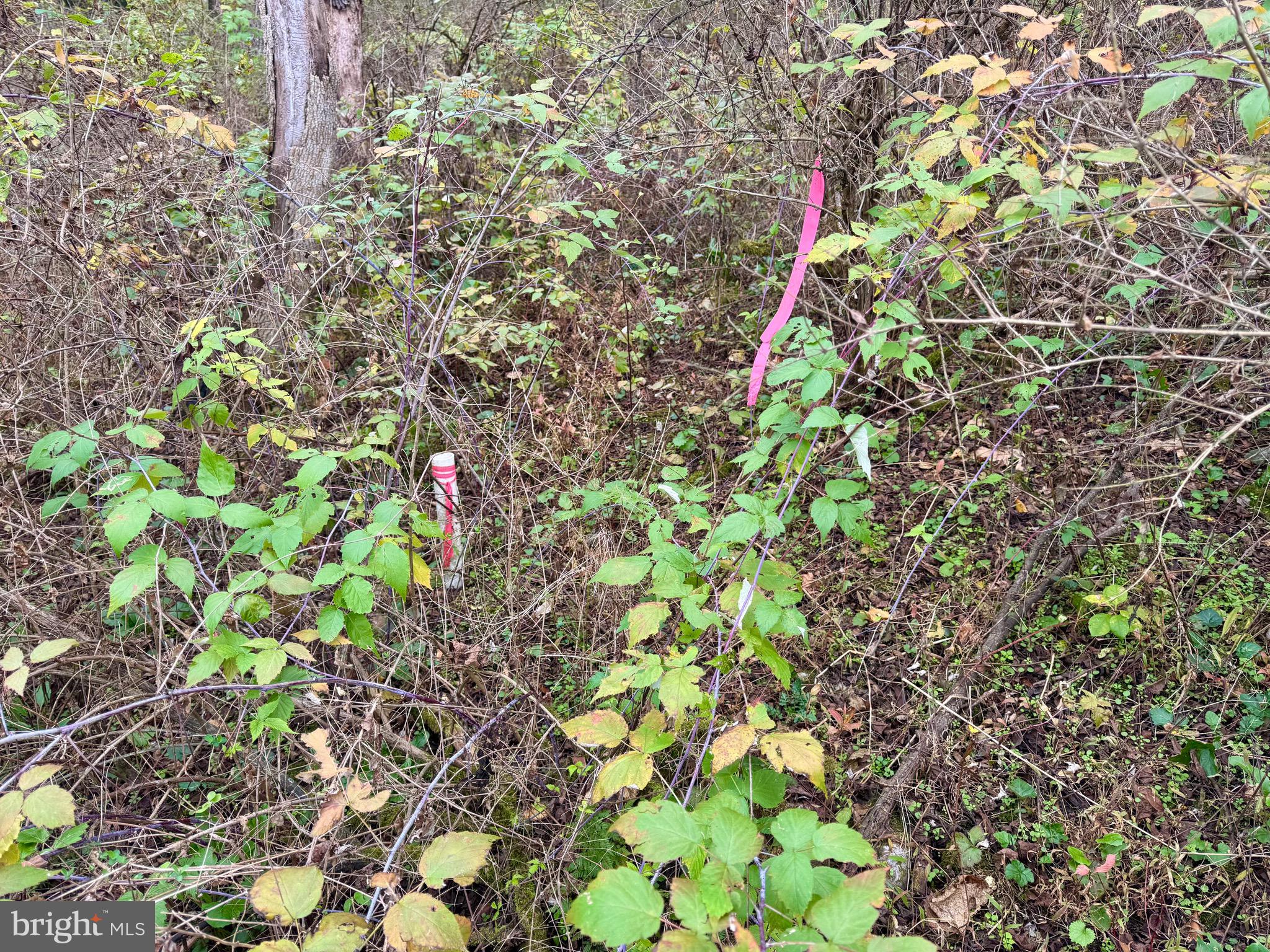 Lot - Hancock Road Bellefonte, PA 16823 - Photo 6 of 11