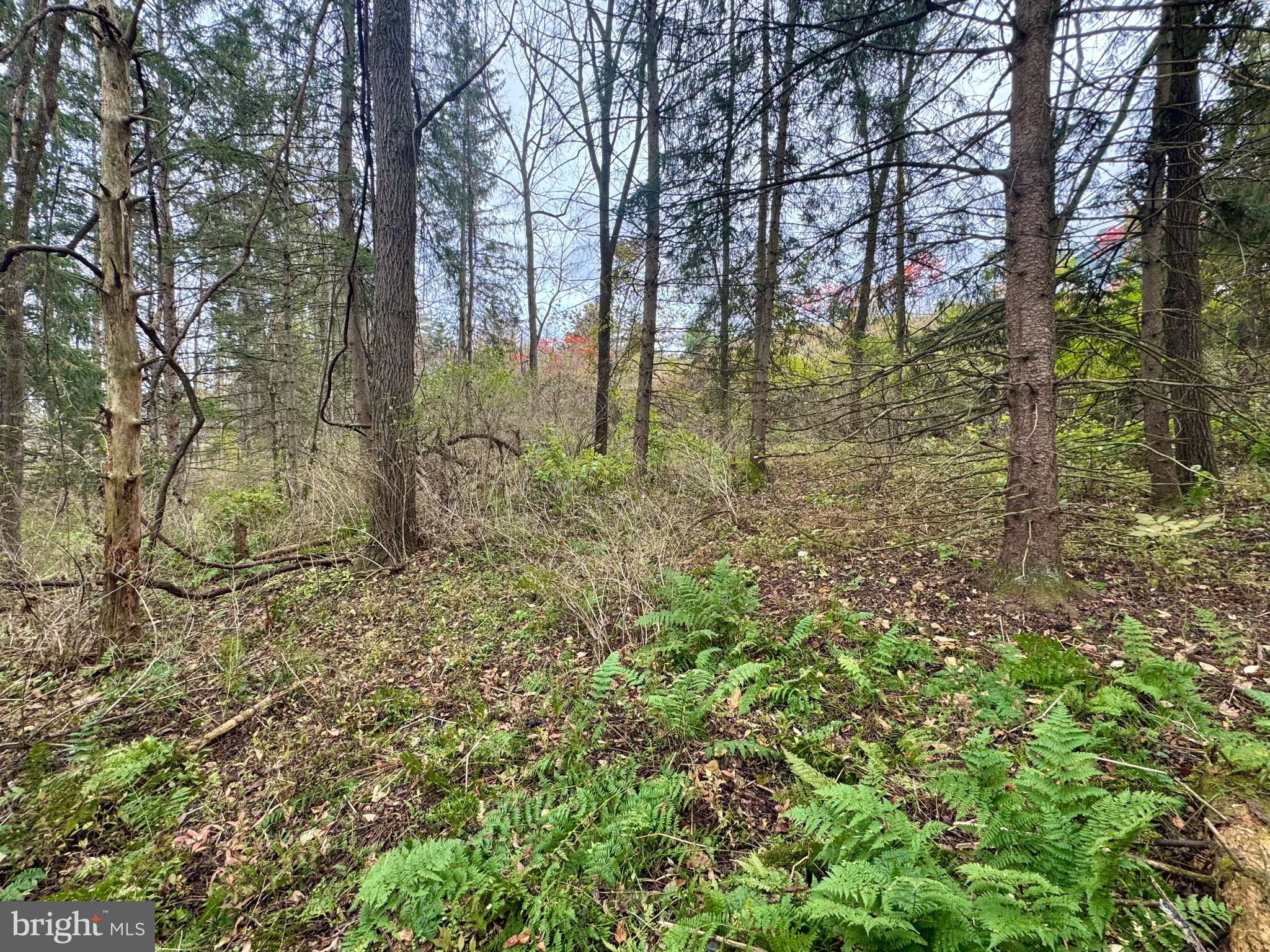 Lot - Hancock Road Bellefonte, PA 16823 - Photo 7 of 11