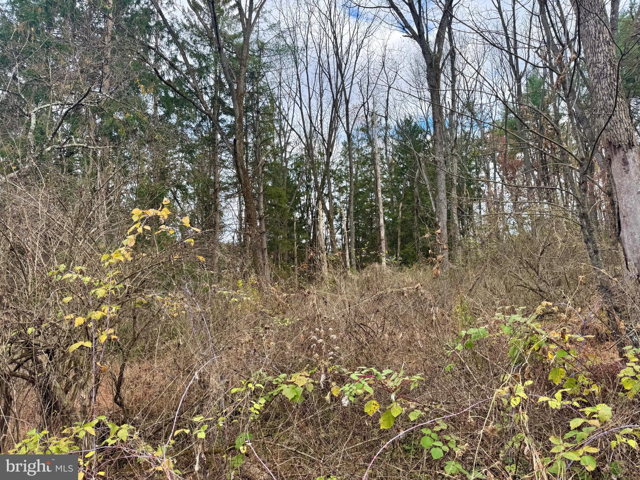 Lot - Hancock Road Bellefonte, PA 16823 - Photo 8 of 11