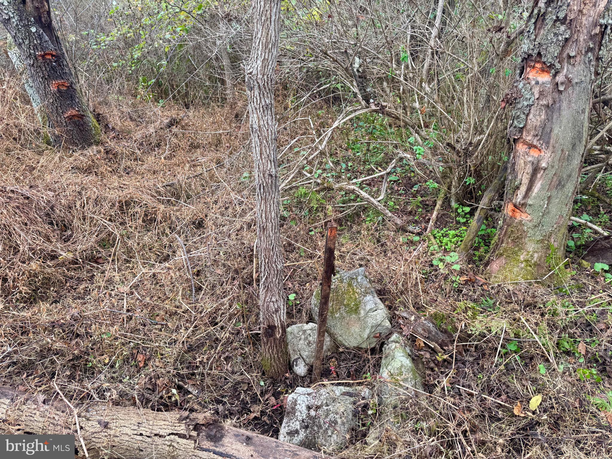 Lot - Hancock Road Bellefonte, PA 16823 - Photo 9 of 11