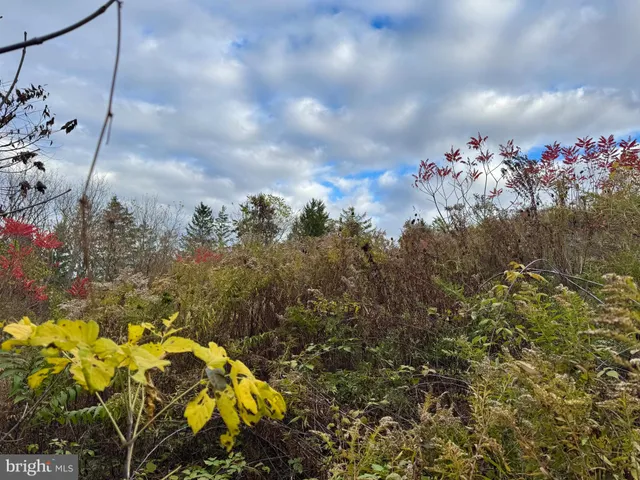 a view of outdoor space with city view