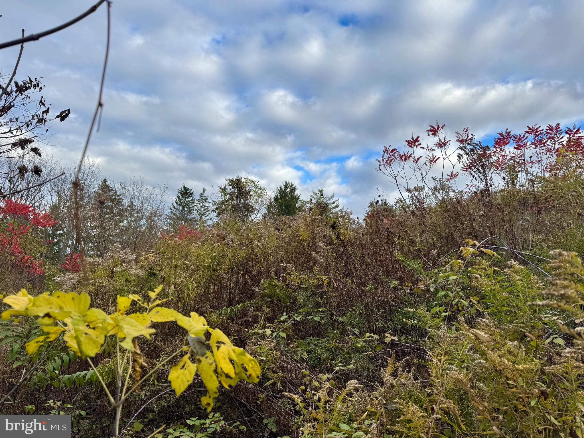 Lot - Hancock Road Bellefonte, PA 16823 - Photo 10 of 11