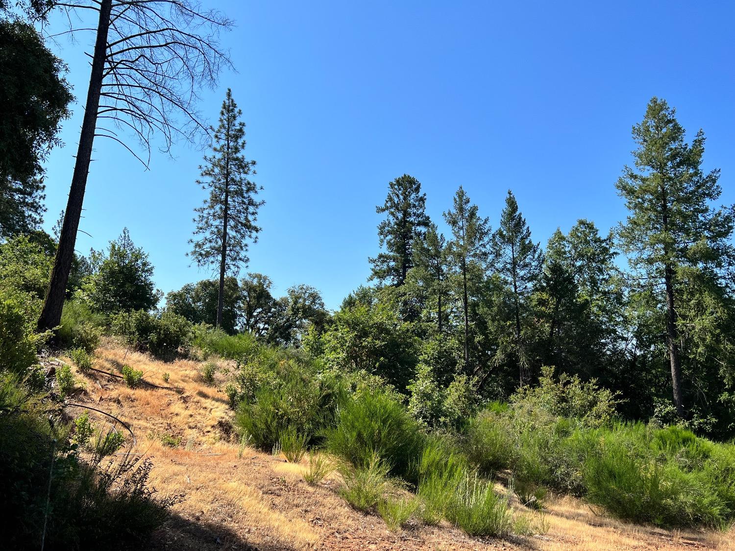 75 Bottle Hill Road Georgetown, CA 95634 - Photo 2 of 5