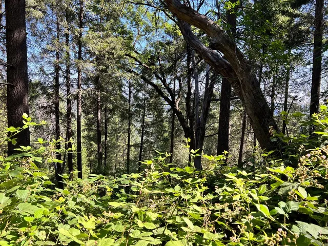 $239,000 | 75 Bottle Hill Road, Georgetown, CA 95634