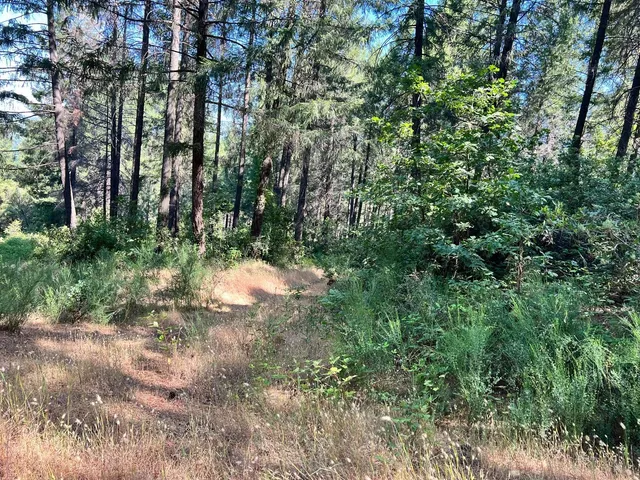 $239,000 | 75 Bottle Hill Road, Georgetown, CA 95634