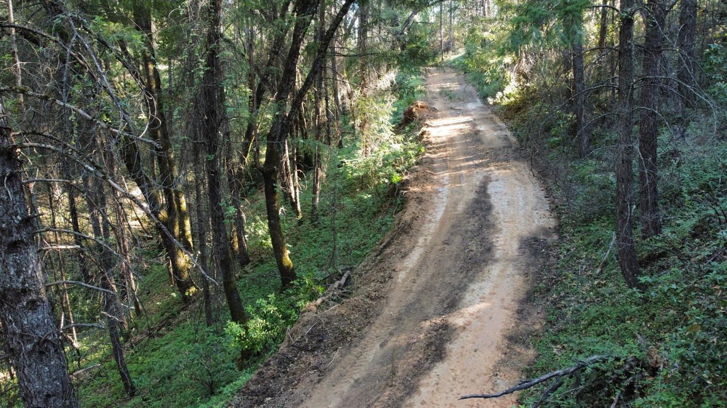 75 Bottle Hill Road Georgetown, CA 95634 - Photo 5 of 5