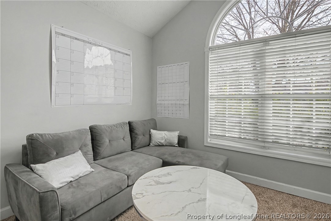 141 Highgrove Court Raeford, NC 28376 - Photo 32 of 50