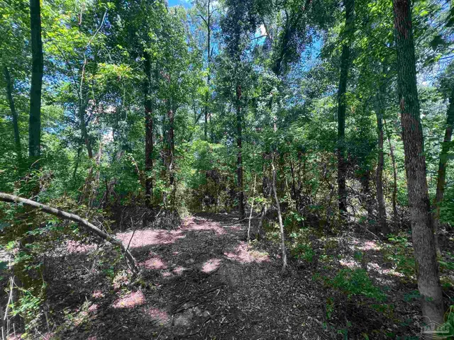 a view of outdoor space and green space