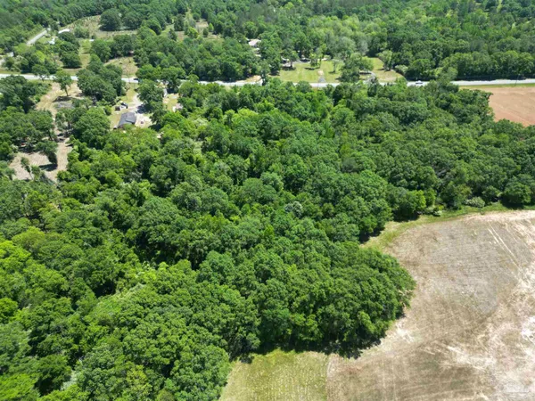 a view of a lush green forest with houses
