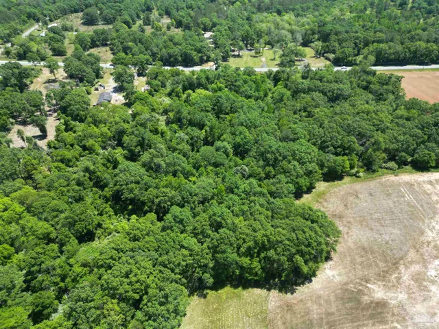 a view of a lush green forest with houses