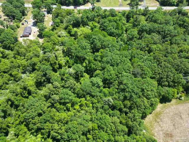 a view of a lush green forest with lots of trees