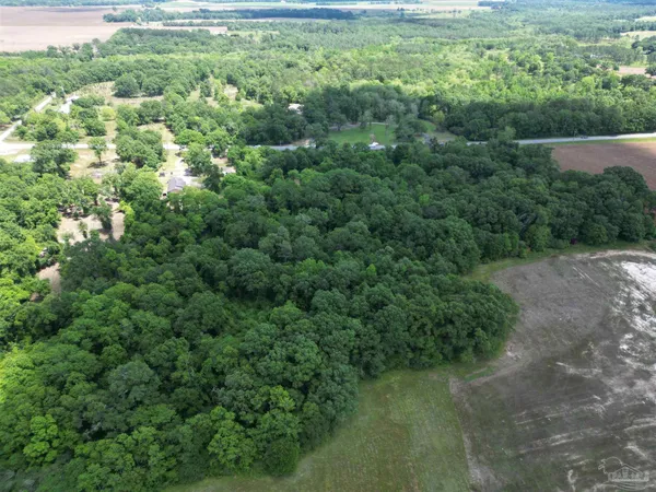 a view of a lush green forest with trees and houses