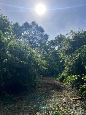 $60,000 | 10961 Highway 97, McDavid, FL 32568