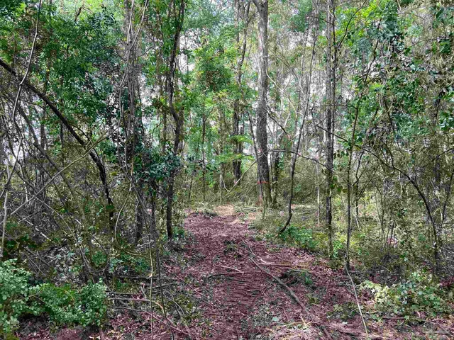 a view of outdoor space and trees