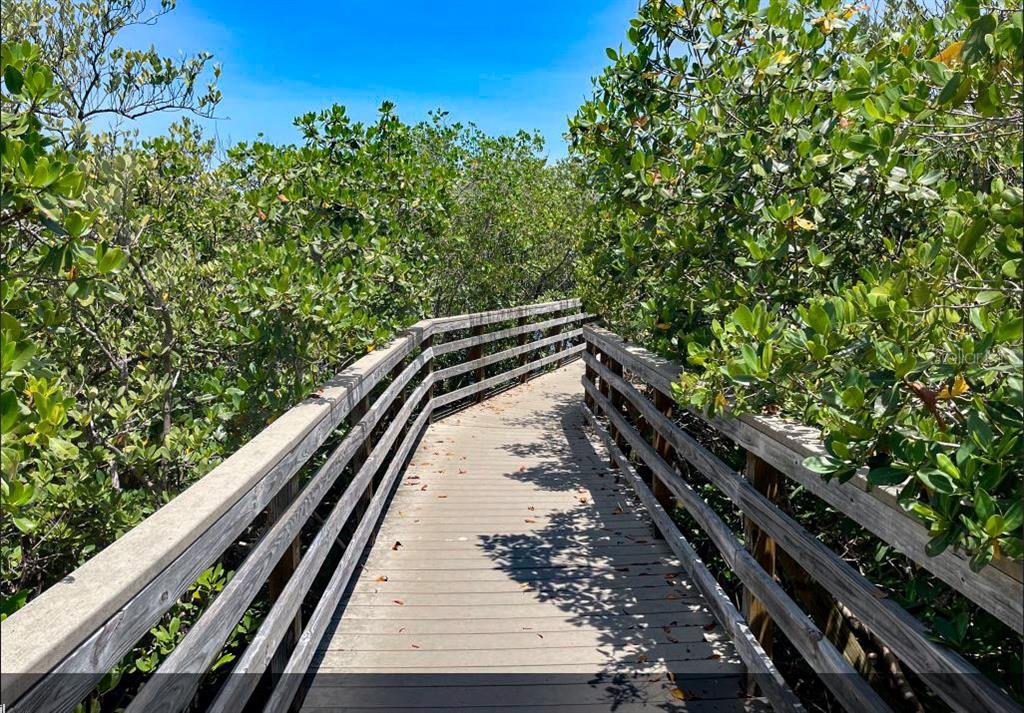 12760 Indian Rocks Road, Unit 1030 (FURNISHED) Largo, FL 33774 - Photo 78 of 82