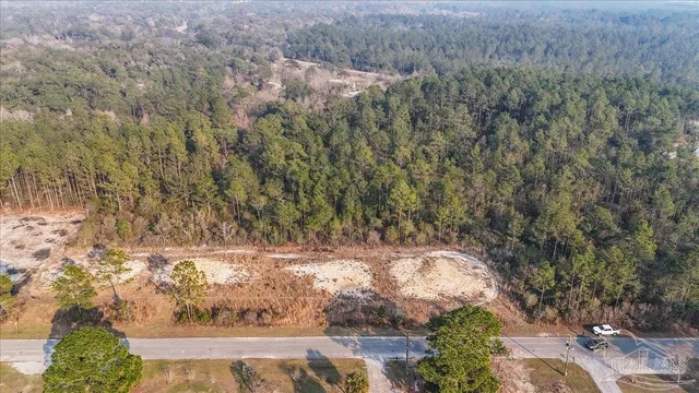 a view of a yard with plants and large trees