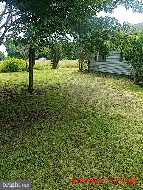 26519 Walnut Tree Road Eden, MD 21822 - Photo 6 of 9 Exterior (General)