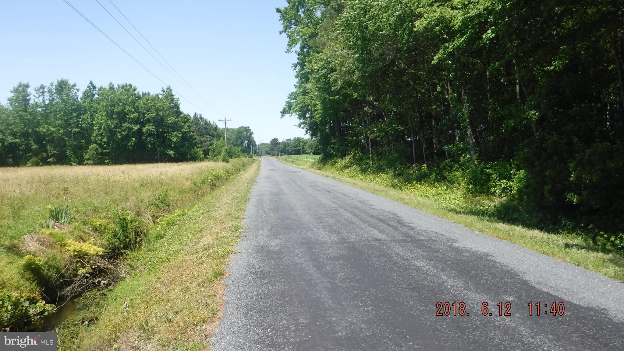 26519 Walnut Tree Road Eden, MD 21822 - Photo 9 of 9 View
