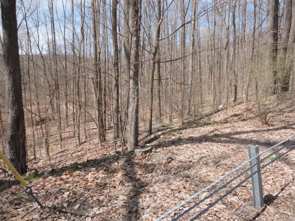 34 Brown Road Vestal, NY 13850 - Photo 8 of 10 Gallery Image 8