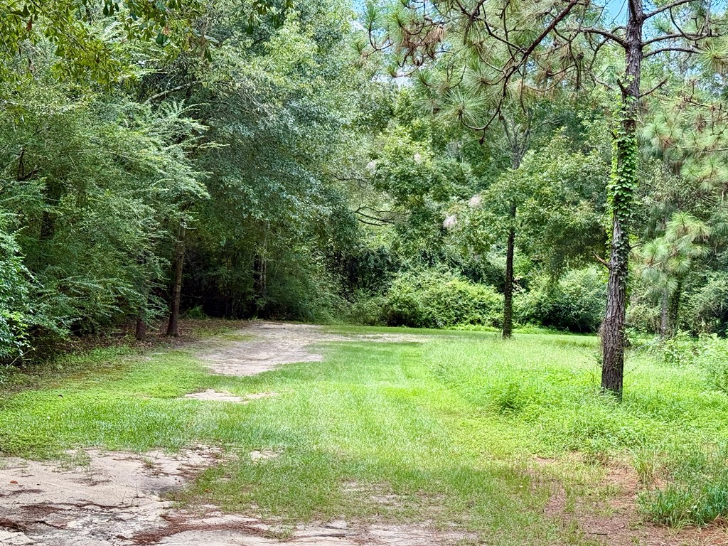 1640 Lafollette Road Slocomb, AL 36375 - Photo 44 of 64