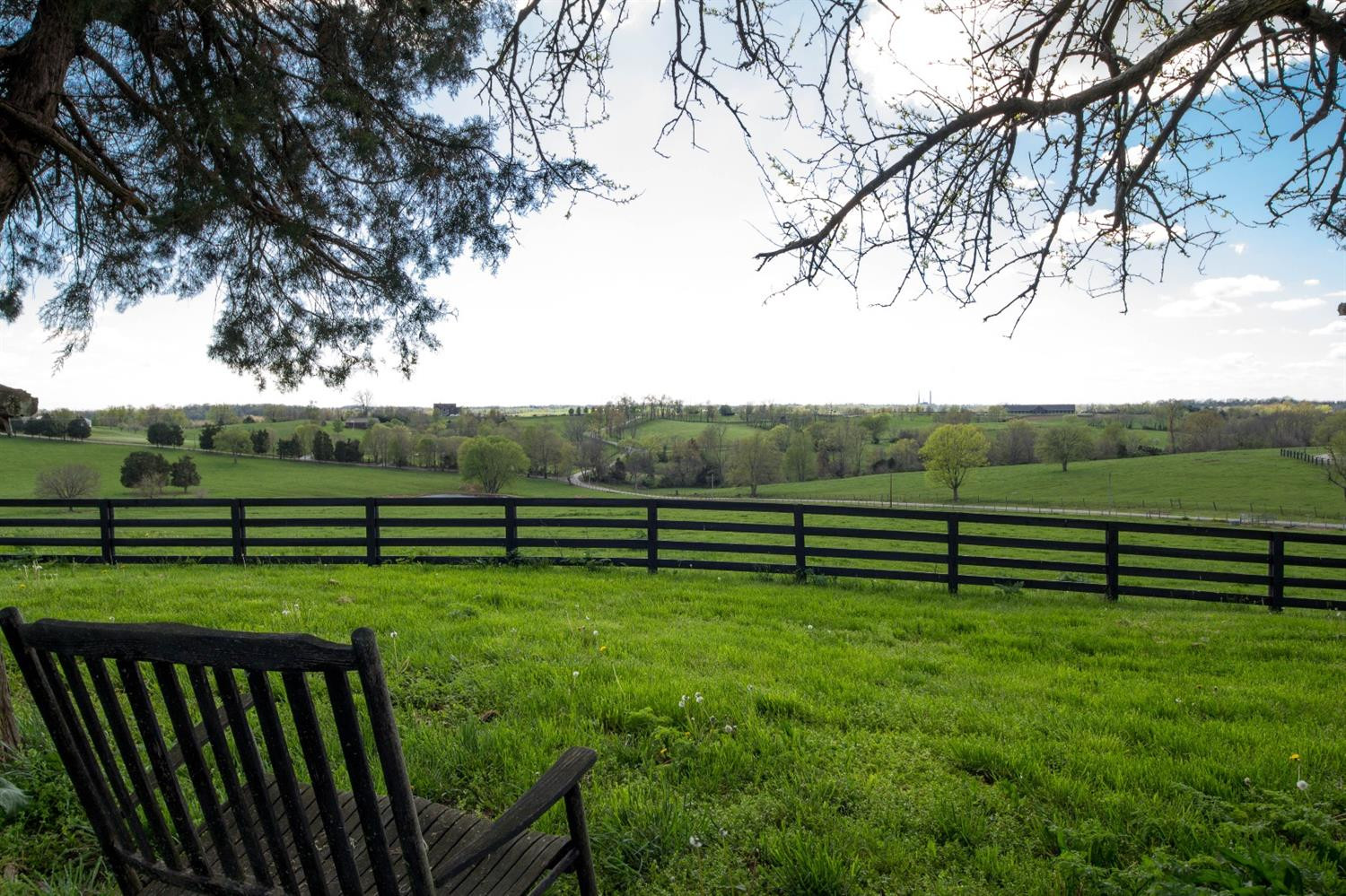 1511 Hall Road Nicholasville, KY 40356 - Photo 8 of 69 Photo 8