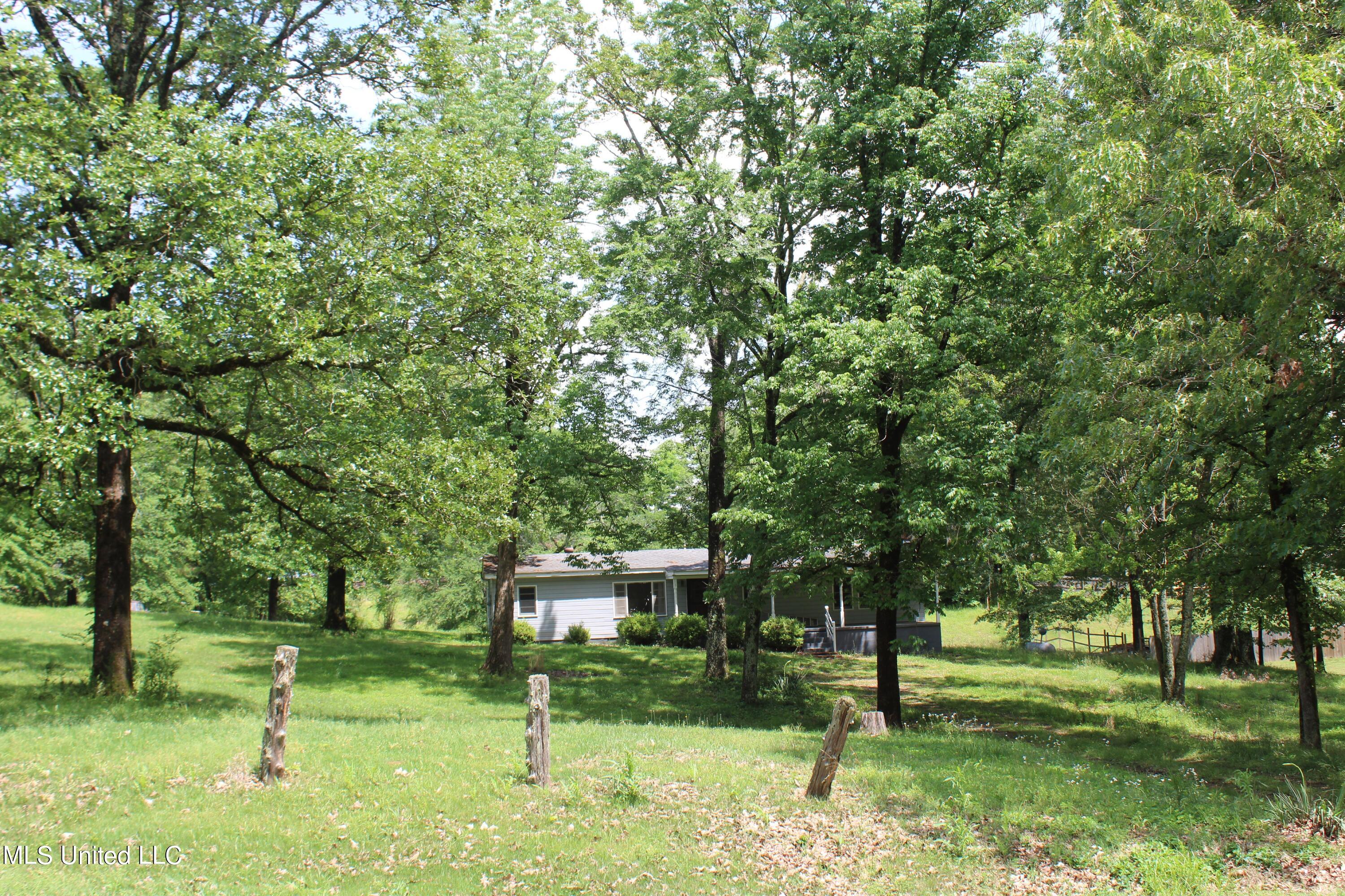 5600 Center Hill Road Olive Branch, MS 38654 - Photo 11 of 17 IMG_3832