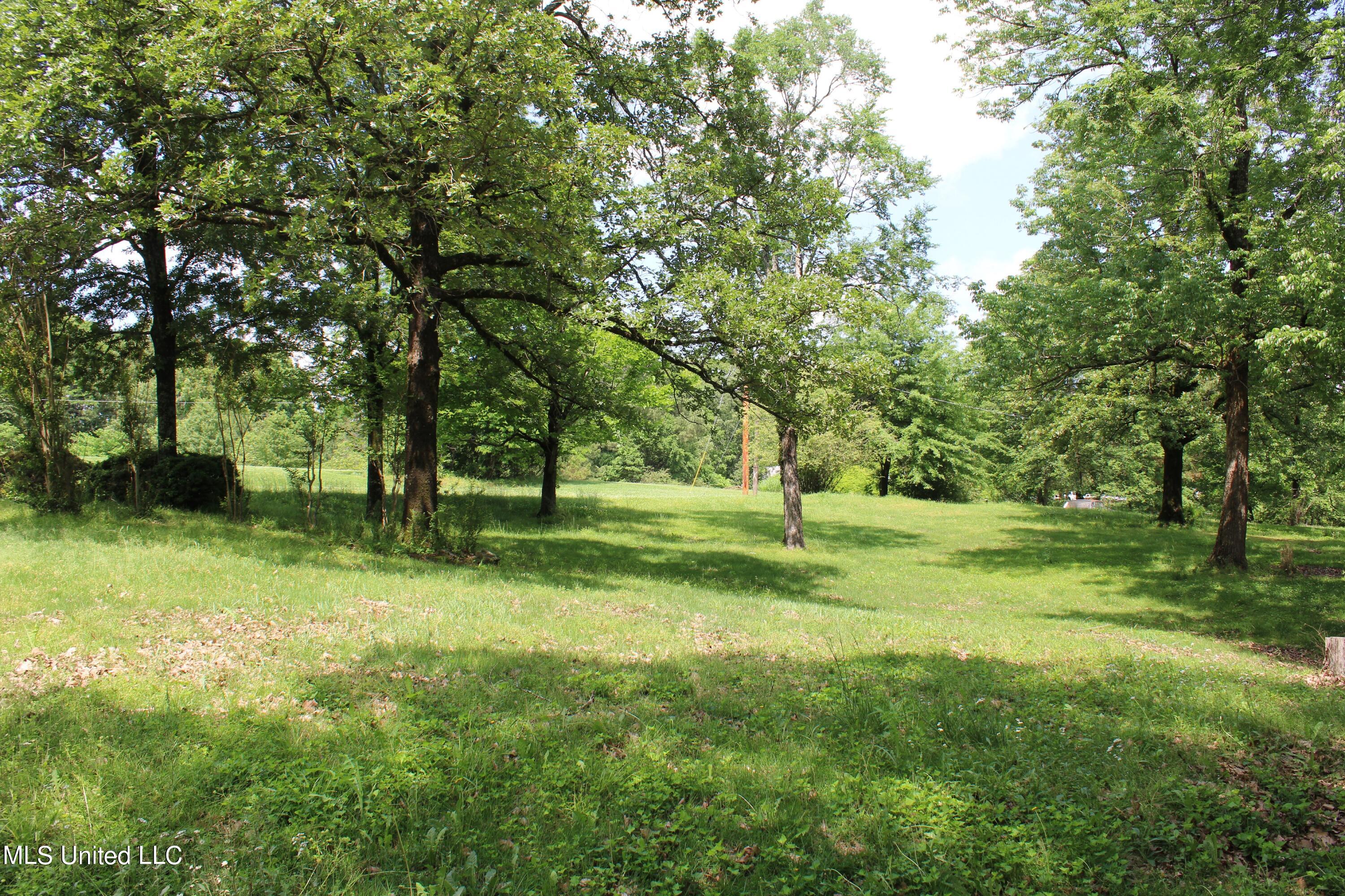 5600 Center Hill Road Olive Branch, MS 38654 - Photo 12 of 17 IMG_3833