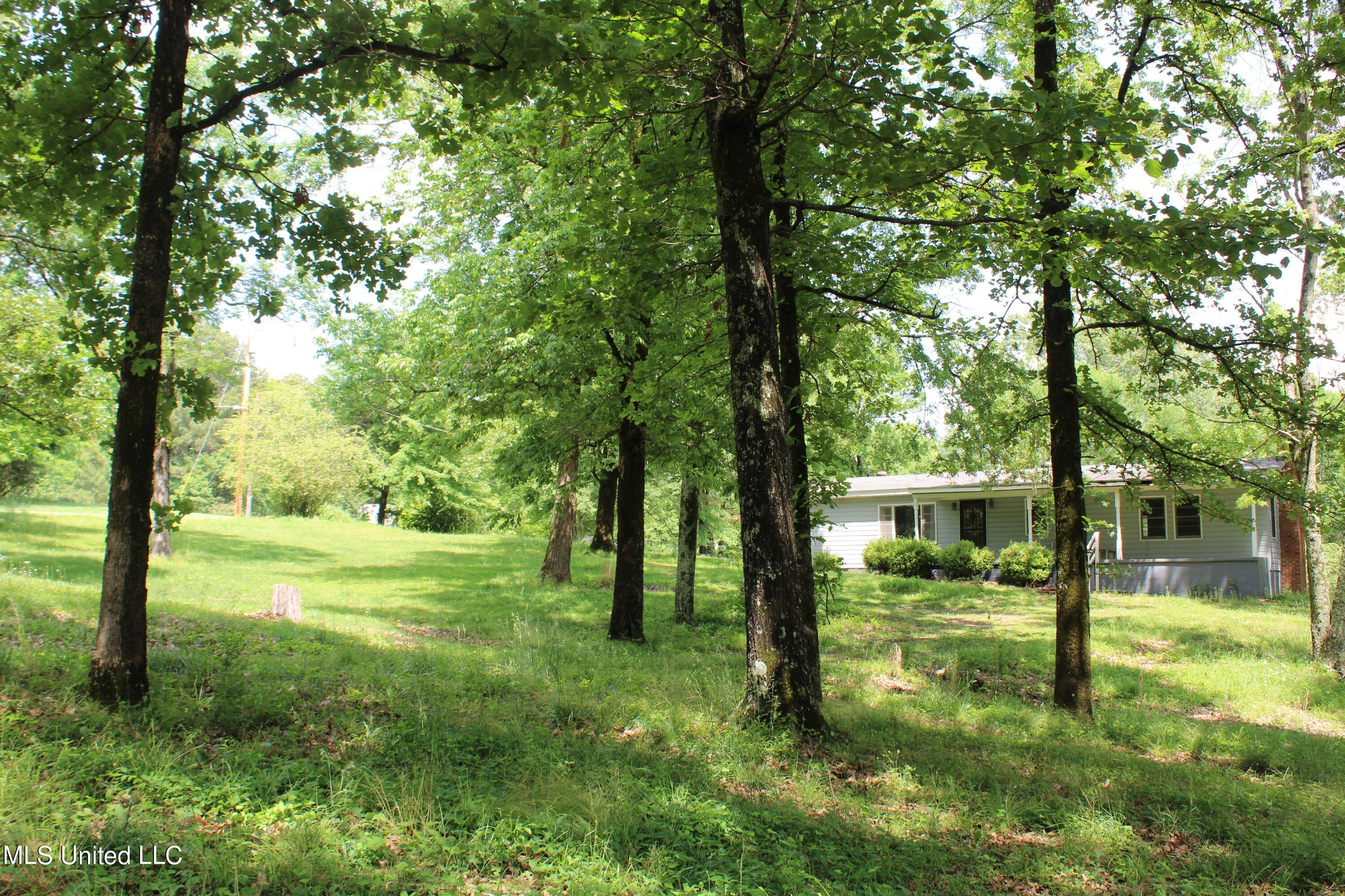 5600 Center Hill Road Olive Branch, MS 38654 - Photo 13 of 17 IMG_3835