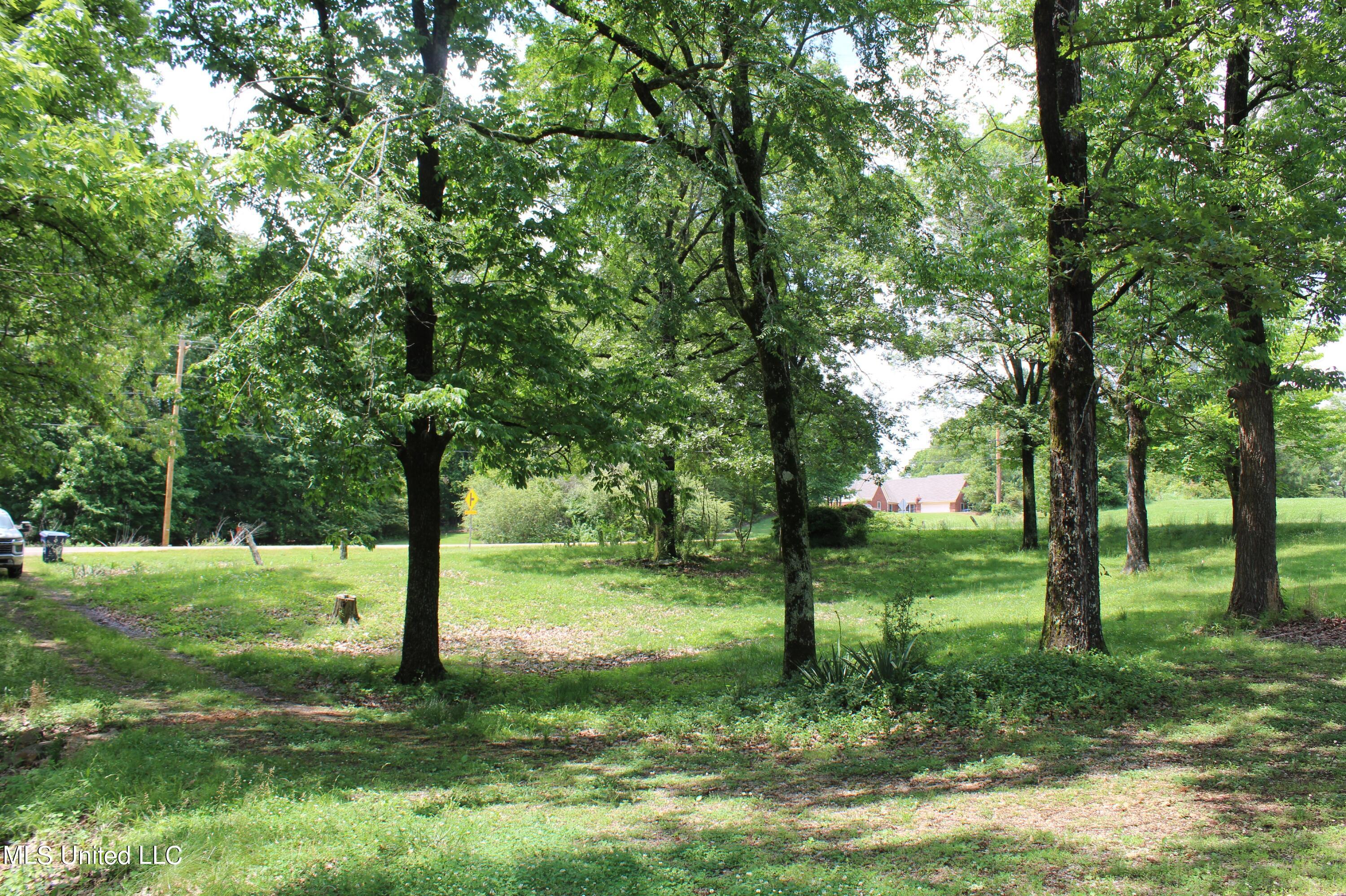 5600 Center Hill Road Olive Branch, MS 38654 - Photo 14 of 17 IMG_3838