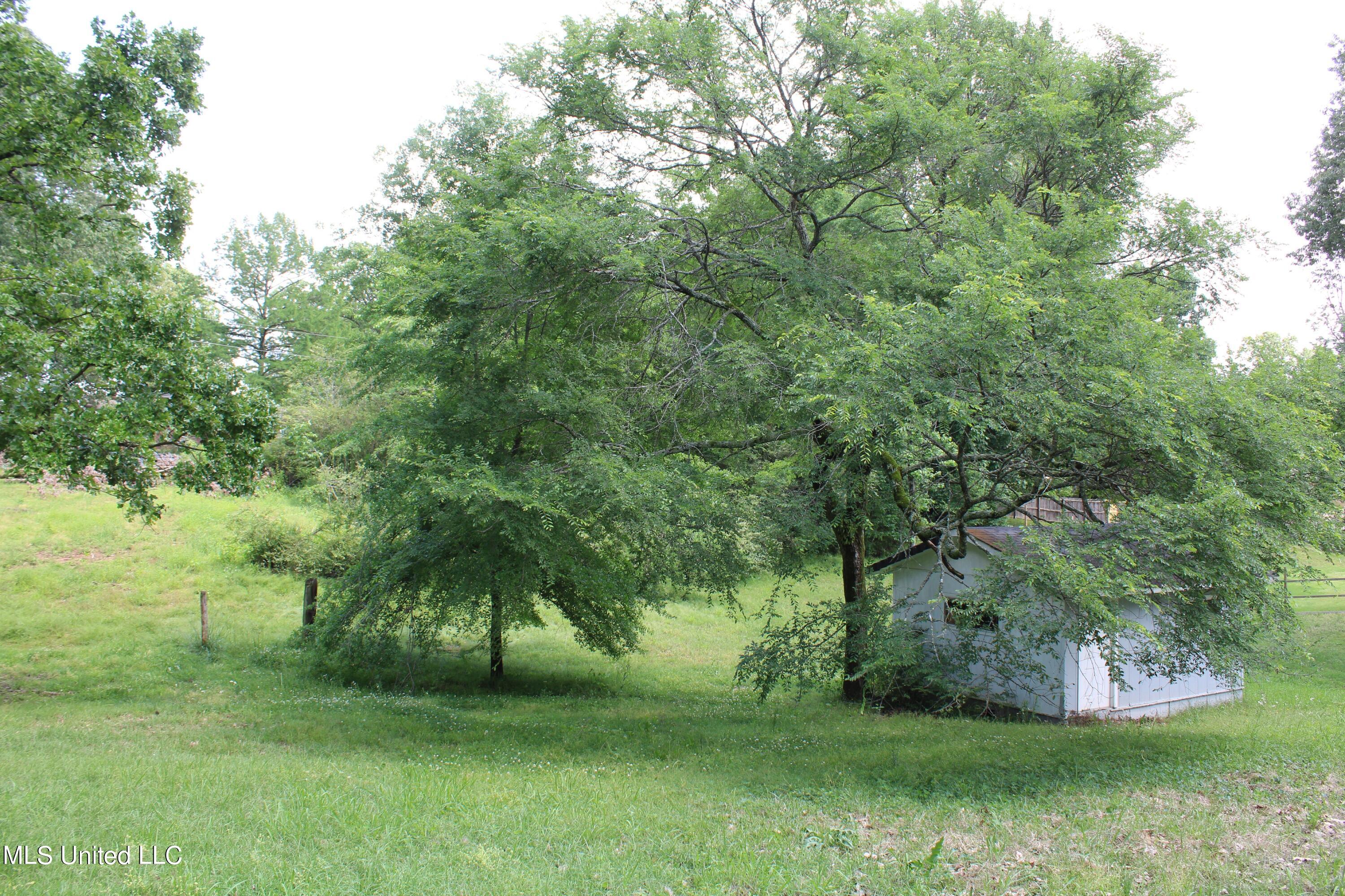 5600 Center Hill Road Olive Branch, MS 38654 - Photo 15 of 17 IMG_3843