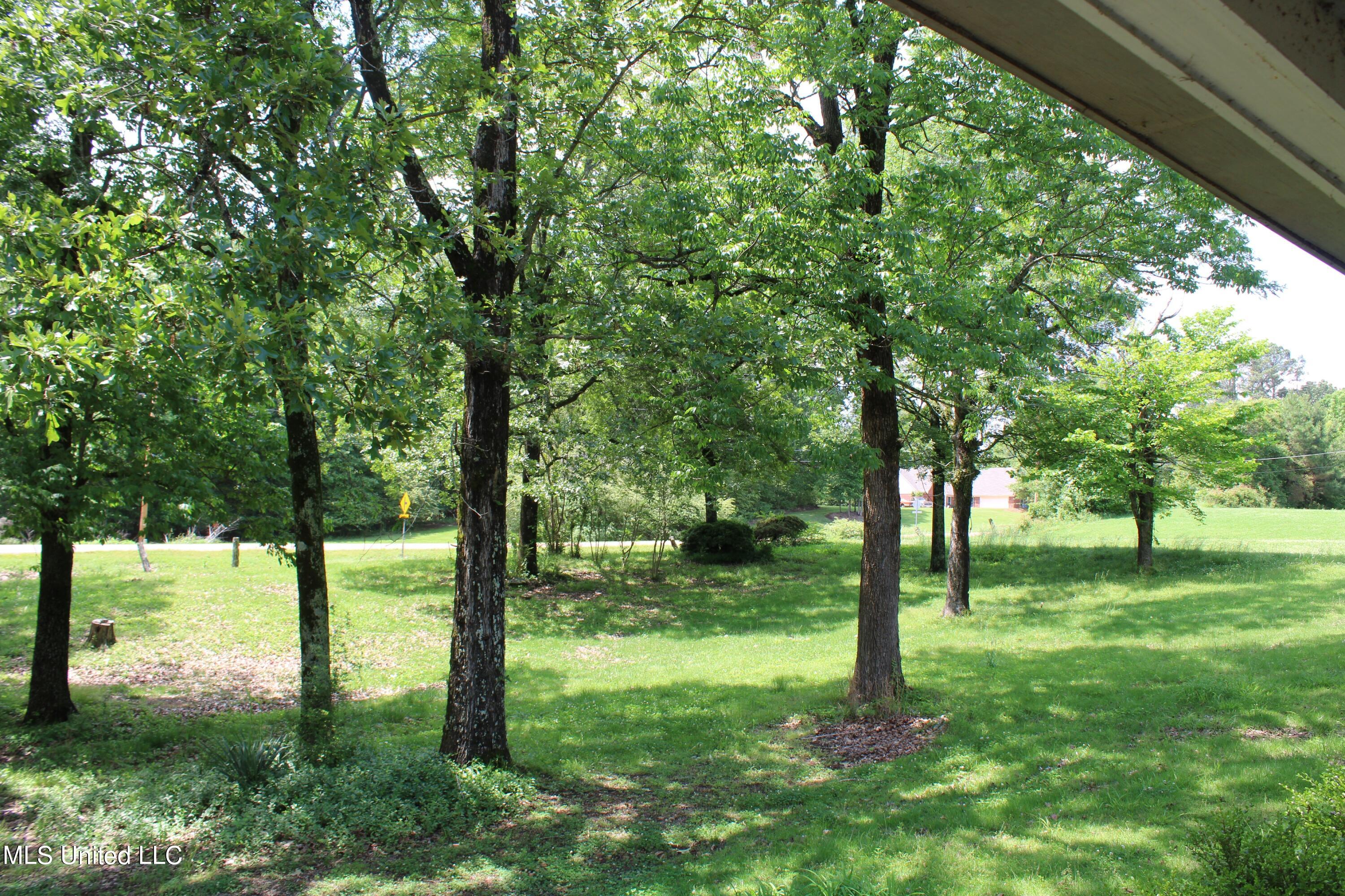 5600 Center Hill Road Olive Branch, MS 38654 - Photo 16 of 17 IMG_3847