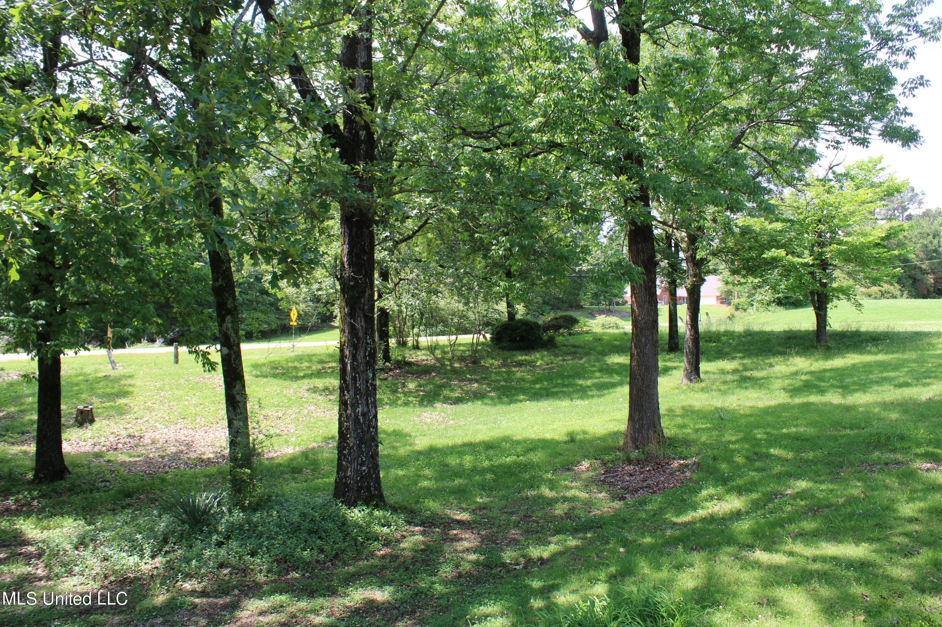 5600 Center Hill Road Olive Branch, MS 38654 - Photo 17 of 17 IMG_3848