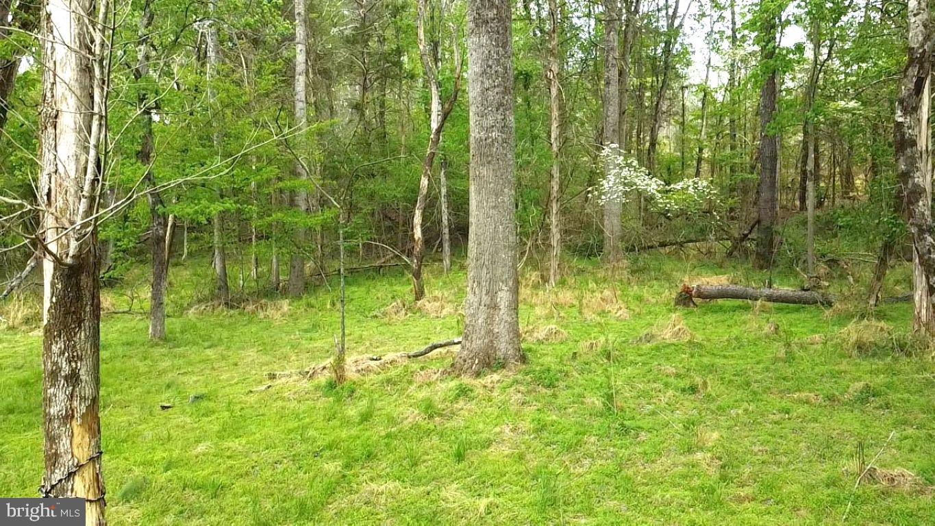 0 Hazel River Road Rixeyville, VA 22737 - Photo 13 of 31 a view of backyard with green space