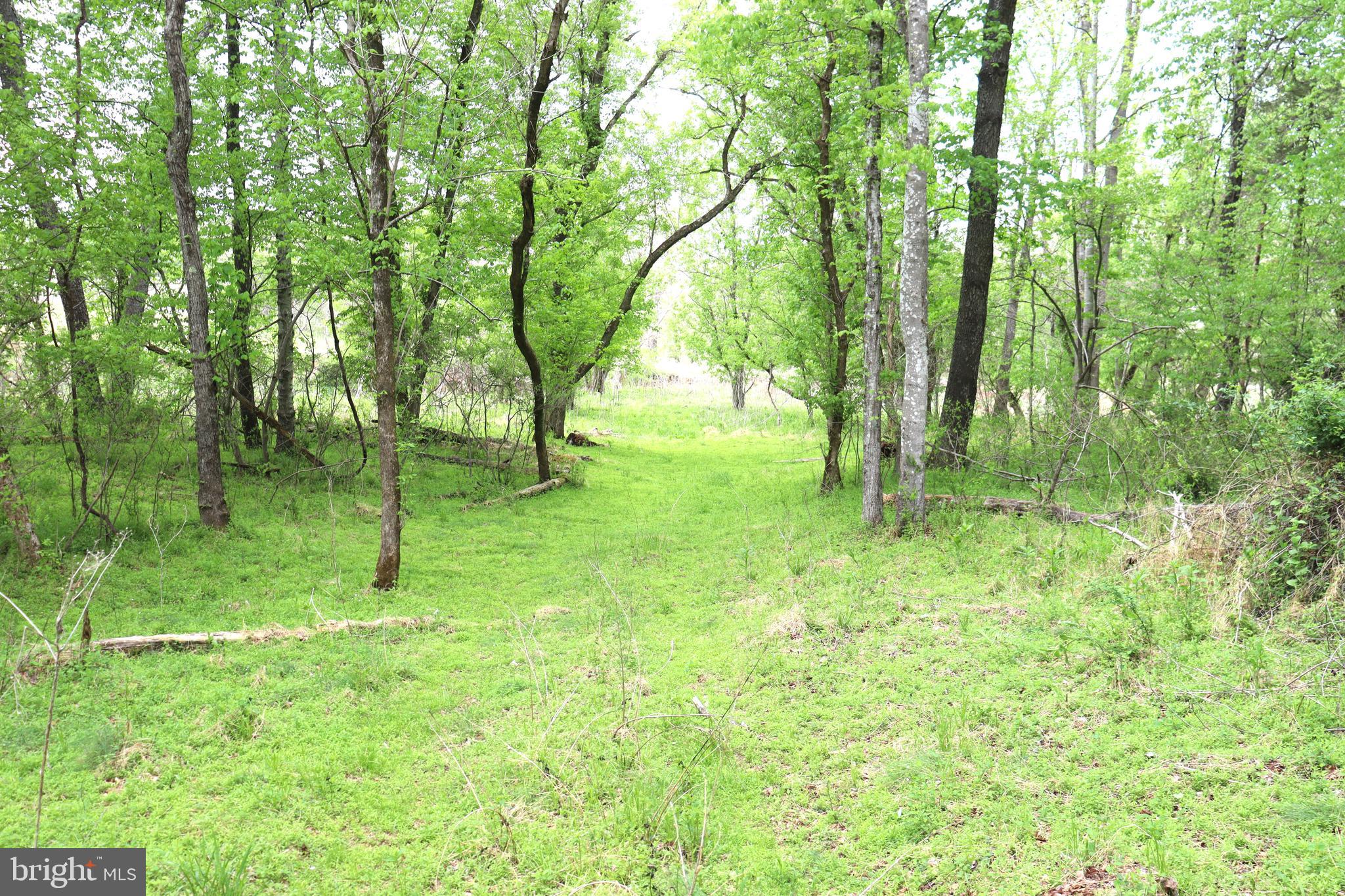 0 Hazel River Road Rixeyville, VA 22737 - Photo 14 of 31 a backyard of a house with lots of green space