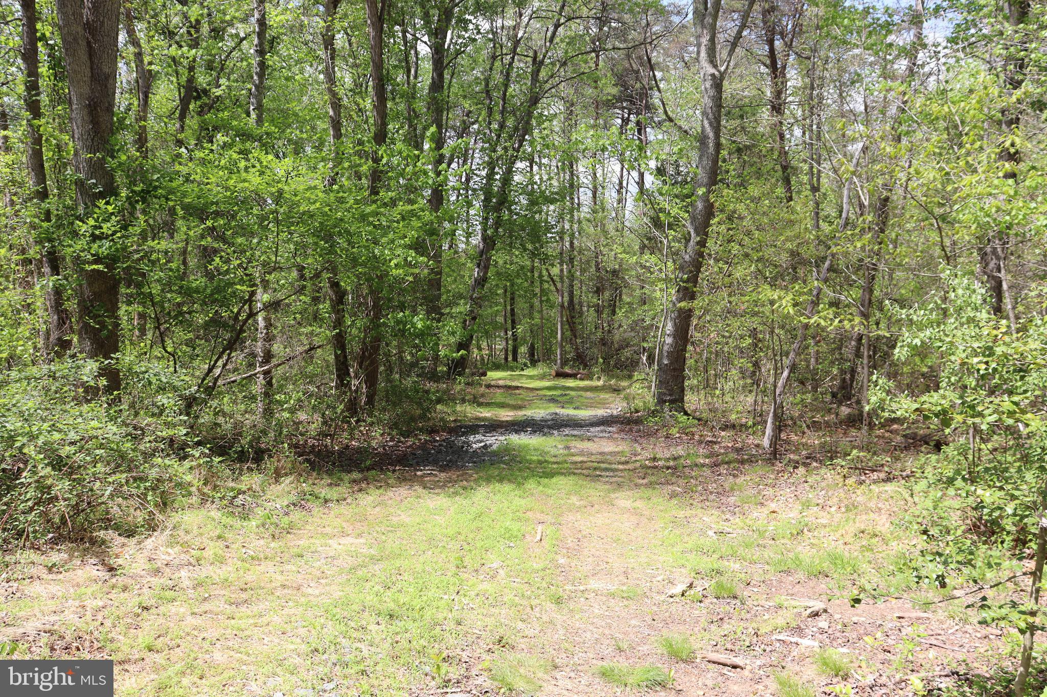 0 Hazel River Road Rixeyville, VA 22737 - Photo 19 of 31 a view of backyard of green space