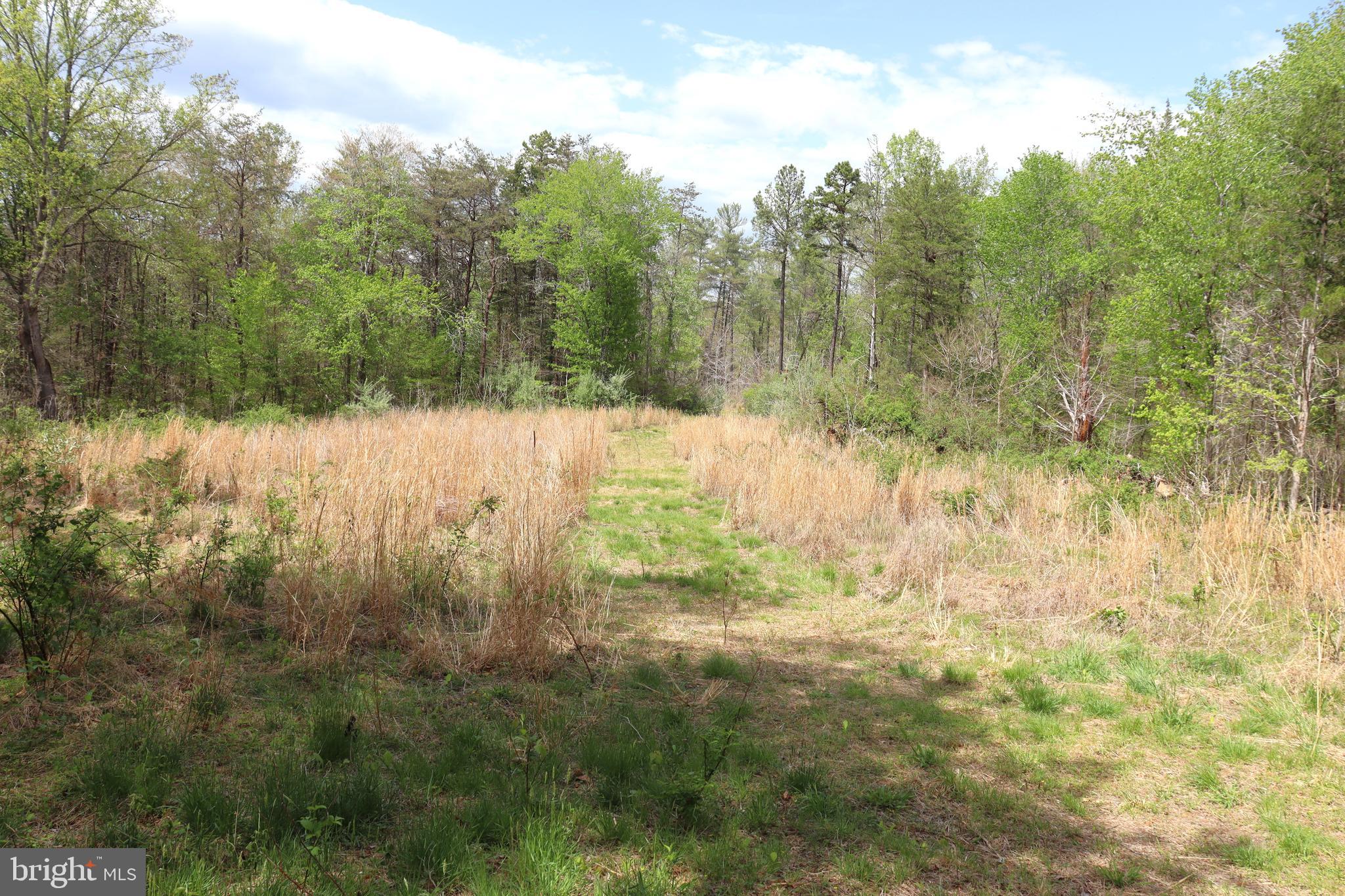 0 Hazel River Road Rixeyville, VA 22737 - Photo 20 of 31 a view of mountain view with lots of trees