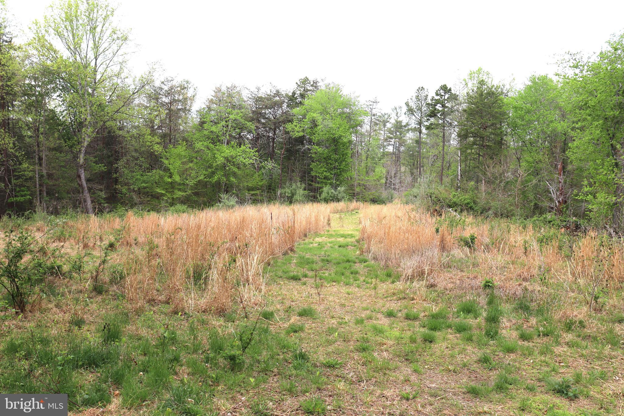 0 Hazel River Road Rixeyville, VA 22737 - Photo 22 of 31 a view of a lake view with large trees