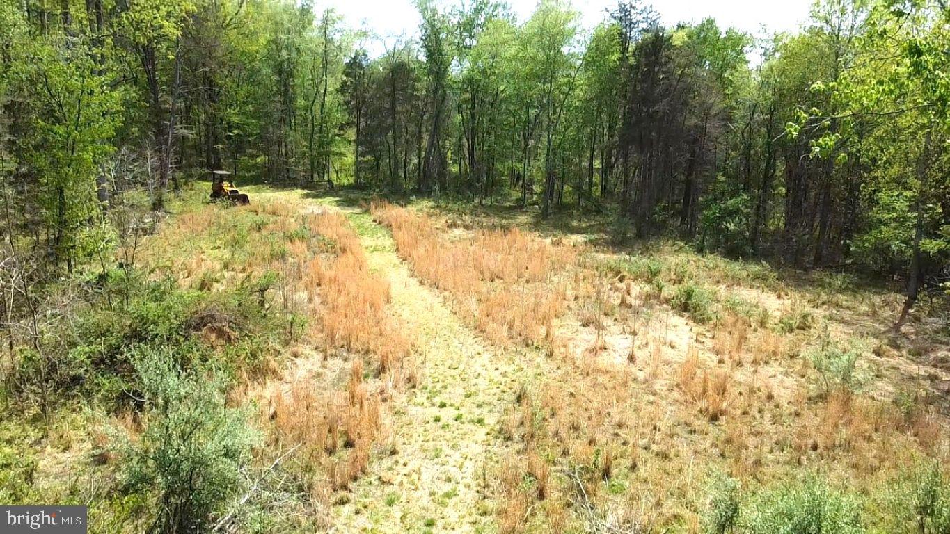 0 Hazel River Road Rixeyville, VA 22737 - Photo 23 of 31 a view of a yard with large trees