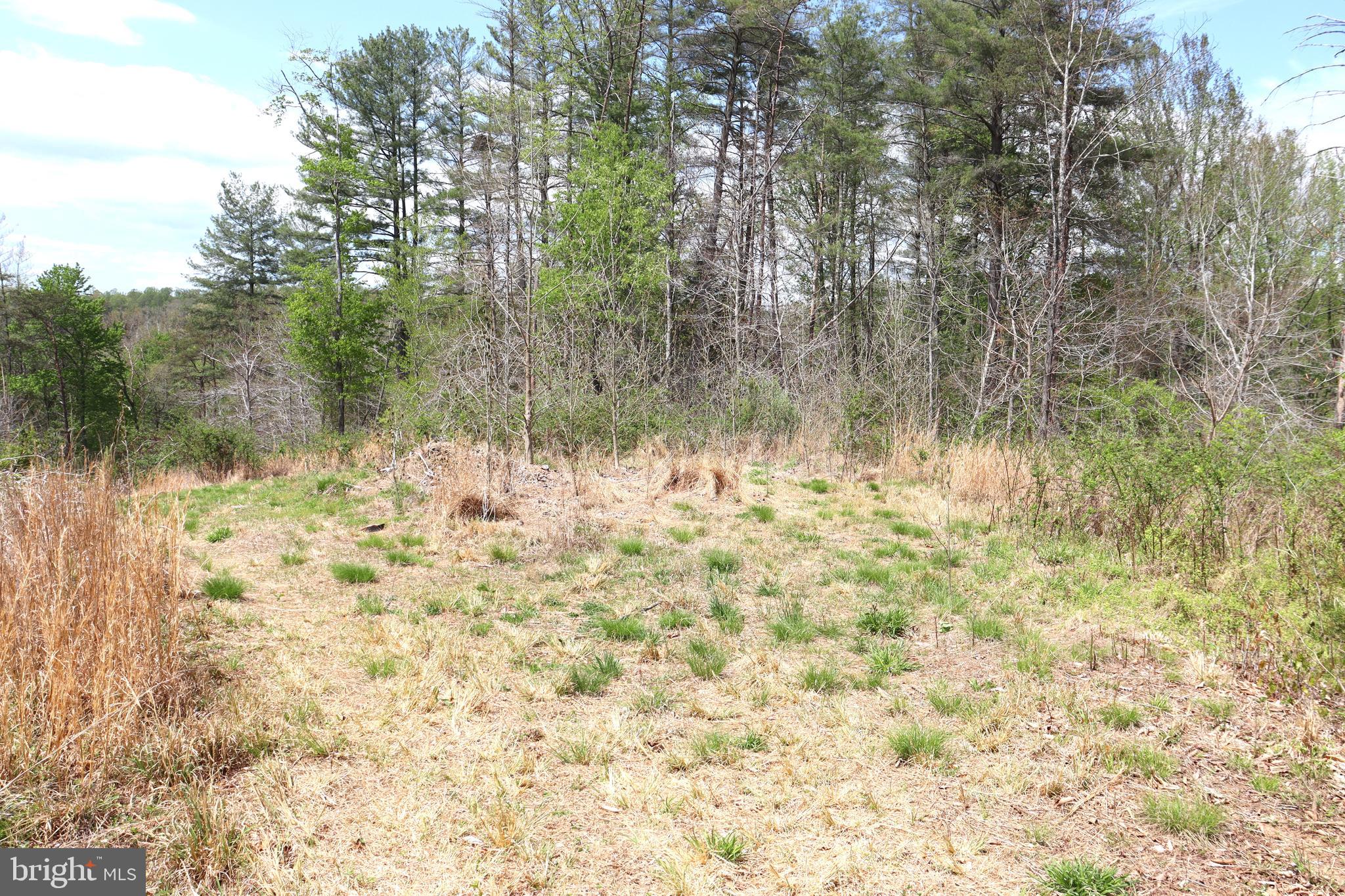 0 Hazel River Road Rixeyville, VA 22737 - Photo 25 of 31