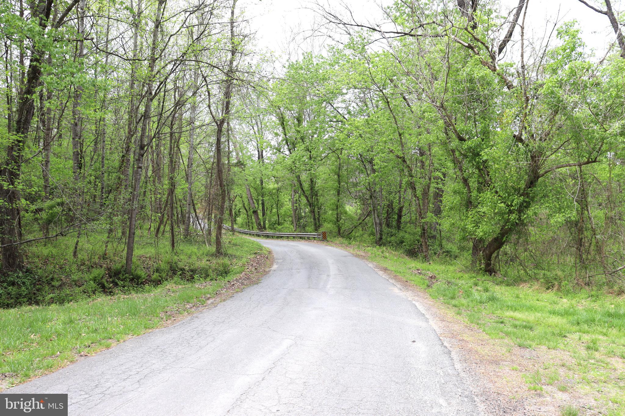 0 Hazel River Road Rixeyville, VA 22737 - Photo 29 of 31 a view of a road with a yard